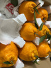生活＆好管家 四川春见耙耙柑爆浆大果新鲜水果礼盒应季橘子现摘柑橘子桔子 4.5-5斤【超划算】净重4.5斤 果径70-75mm【中果】 实拍图
