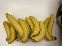 黄胖子进口香蕉650g 实拍图