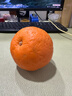 京鲜生 爱媛果冻橙 净重10斤装 单果180g起 生鲜水果柑橘桔子年货礼盒  实拍图