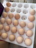 MEMBER'S MARK精选鲜鸡蛋  1.5kg 1.5kg 实拍图