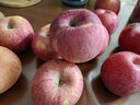 京鲜生 陕西洛川红富士苹果 净重5斤75-80mm单果170g+新鲜水果源头直发  实拍图