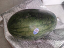 京鲜生 黑美人西瓜 1粒装 净重7-8斤 年货水果源头直发 实拍图
