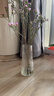 吕姆克花瓶玻璃花瓶摆件工艺品插花仿真干花富贵竹水养花瓶中号透明5043 实拍图