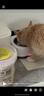疯狂的主人猫咪恒温水碗宠物加热水碗酸奶机喝水猫碗狗狗喝水器恒温饮水机 实拍图