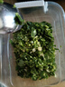 带根香菜100g 实拍图