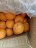 广西沃柑10斤新鲜纯甜橘子当季时令水果桔子柑橘应季整箱水果 9斤装（70mm+精选特大果） 实拍图