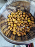 栗小胖新货迁西板栗生新鲜栗子生鲜迁西生栗子大油栗小毛唐山板粟 313品种净重5斤   大果（个头均匀果肉黄） 实拍图