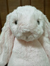 Jellycat害羞乳白色邦尼兔动物毛绒玩偶安抚玩偶娃娃送礼生日礼物 害羞粉色邦尼兔 Medium 实拍图