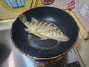 仙泉湖黄山大臭鳜鱼1斤/条净膛腌制冷冻安徽特产徽派臭桂鱼年货生鲜食材 实拍图