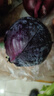 新鲜紫甘蓝生吃凉拌沙拉清脆爽口紫包菜农家自种现采现发新鲜蔬菜 清晨现采紫甘蓝2.5-3斤【单颗≥600g】 实拍图