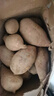 现挖沙地蜜薯空气炸锅红薯沙地板栗薯新鲜自种龙九正宗黄心香甜 【特价福利】沙地蜜薯 9斤 带箱 中大果 实拍图
