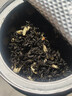 一杯香茶叶茉莉花茶飘雪横县浓香型特级250g新茶年货过年茉莉绿茶自己喝 实拍图