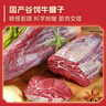 鲜京采国产黄牛牛肉礼盒 10斤 888型【送礼年货 马年礼盒】 源头直发 实拍图