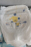 菲比Fitti秒吸舒爽乐玩裤拉拉裤XL114片(12-17kg)加大码裤型瞬吸干爽 实拍图