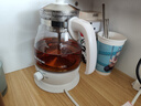 金灶（KAMJOVE） 养生壶煮茶器喷淋式煮茶炉白茶壶黑茶壶办公室家用蒸汽煮茶壶1L 白色 1L 实拍图