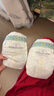 babycare金山茶花婴儿纸尿裤试用装L码3片(9-14kg)尿不湿透气【新老混发】 实拍图
