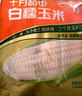 十月稻田 白糯玉米 8根 4.16斤 东北甜粘玉米 非转基因 低脂早餐 实拍图
