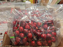 京鲜生 智利车厘子巨无霸3J级5斤礼盒果径约30-32mm水果礼盒 送卡尺 实拍图