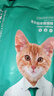 凯锐思幼猫猫粮奶糕鱼肉味全价幼猫粮天然营养粮500g 实拍图
