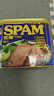 世棒（SPAM）午餐肉罐头经典原味340g*2 火锅烧烤香锅 泡面伴侣户外露营即食 实拍图