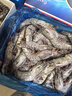 GUO LIAN国联特大号黑虎虾斑节虾无冰盐冻净重2斤20-30只年货送礼海鲜家宴 实拍图