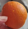 正宗赣南早脐橙整箱新鲜早橙子赣州产地直发超甜皮薄多汁水果礼盒 净重9斤果王橙（单个250g以上） 实拍图