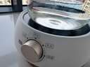 苏泊尔（SUPOR）迷你电陶炉煮茶器煮茶炉煮茶壶养生围炉煮茶茶艺炉泡茶家用办公老白茶黑茶花茶不挑器具SW-DTL01 实拍图