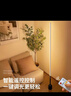万火遥控落地灯卧室床头灯护眼氛围灯客厅阅读灯婴儿喂奶睡眠灯高级感 实拍图