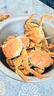 【活蟹】湖鲜阳澄大闸蟹全母2.5-2.8两8只去绳足重海鲜过年送礼年货螃蟹礼盒装源头直发 实拍图