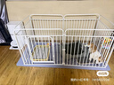 憨憨宠狗围栏宠物狗狗围栏室内狗栅栏折叠拆卸狗笼子小中大型犬猫咪护栏 加粗全管160*80*80CM*6卡扣围栏 实拍图