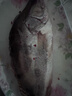 仙泉湖黄山臭鳜鱼400g*1条净膛腌制冷冻安徽海鲜臭桂鱼生鲜食材年货 实拍图