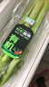 有机芹菜（西芹）400g 实拍图