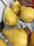 亨迅烟台太婆梨山东梨子啤梨香蕉梨大头梨茄梨软梨新鲜水果生鲜 【热卖推荐】净重4.5斤 香甜软糯|核心产区直发|放软后吃 实拍图