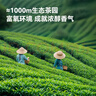 京东京造明前毛尖绿茶春茶250g罐装茶叶嫩芽散装自己喝京东自营送礼袋 实拍图