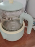 九阳（Joyoung）1.2L家用调奶器 养生壶 316不锈钢恒温水壶多功能婴儿冲奶粉烧水温奶暖奶器Q576 实拍图