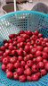 新鲜山楂果大山楂鲜果红果鲜山楂大果山里红冰糖葫芦现摘-盛禾田 甜红子山楂2斤装 实拍图