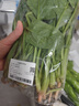 大菠菜300g 实拍图