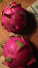 海南红心火龙果金都一号装新鲜采摘现摘现发 火龙果带箱3斤（单果300g-400g） 实拍图