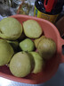 京鲜生广西红白芭乐对半双拼 净重4.5斤 单果130g起 番石榴水果源头直发 实拍图