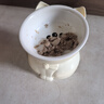 甜浪海猫碗陶瓷猫粮碗狗碗猫食盆猫咪喝水碗高脚斜口防打翻护颈喂食碗 实拍图