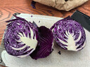 新鲜紫甘蓝生吃凉拌沙拉清脆爽口紫包菜农家自种现采现发新鲜蔬菜 清晨现采紫甘蓝2.5-3斤【单颗≥600g】 实拍图