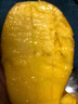 甜萌果蔬金煌芒芒果【多地次日达】当季现摘海南大芒果新鲜水果青芒果整箱 9斤精选装【单果300g+】净8斤 实拍图