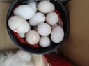 百世富泽（BAISHIFUZE）【百世富泽】黄河滩大鹅蛋新鲜正宗土鹅蛋农家自养孕妇超大鹅蛋 12枚130-150克 实拍图