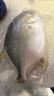 1号会员店（One's Member）甄选海南二去金鲳鱼 700g/2条装 去鳃去内脏 生鲜 鱼类 海鲜水产  实拍图