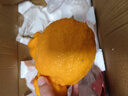 生活＆好管家 四川春见耙耙柑新鲜水果应季橘子现摘孕妇水果整箱桔子橘子 优选级市场果 4.5-5斤【单果90mm+】净重4.5斤 实拍图