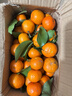 正宗广西桂林马水砂糖橘沙糖桔新鲜水果当季蜜桔桂林橘子贡柑整箱 带箱3斤 净重2.5斤 小果（30-40mm） 实拍图