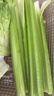 京鲜生山东新鲜大西芹净重4.5斤榨汁现挖芹菜鲜嫩蔬菜 去半叶源头直发 实拍图