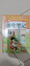 2026【荣恒】课堂笔记三年级下册语文数学人教版同步教材随堂笔记教材全解小学生课堂预复习辅导书（2册） 实拍图