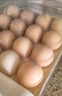 【无抗】大码鲜鸡蛋1.8kg 实拍图