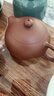 京东京造 宜兴紫砂壶 手工【原矿紫泥】煮茶泡茶壶茶具 西施壶210ml 实拍图
